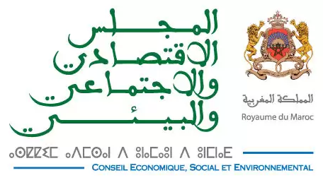 Logo Conseil Economique, Social et Environnemental
