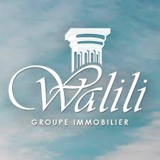 Logo GROUPE WALILI