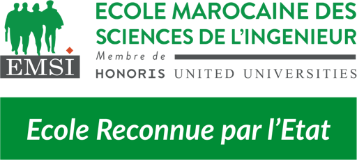 Logo EMSI