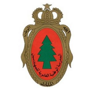 Logo ENFI