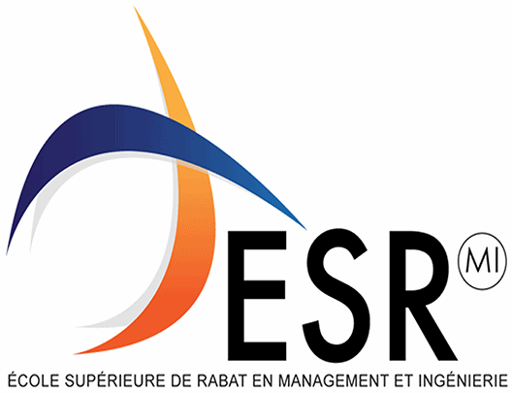 Logo ESRMI