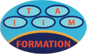 Logo ITIAM